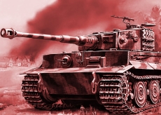 Poster - Kunstdruck - Tiger - 48x33cm