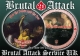 Brutal Attack - For the Fallen and the Free - Picture LP +++EINZELSTÜCK++
