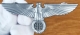 Pin - Reichsadler - silber Optik