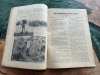 Antiquariat - Heft - Die Woche - Kriegsjahr 1917 - Heft 28 +++EINZELSTÜCK+++