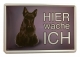 Blechschild - Hier wache ich - Scottish Terrier (167) +++EINZELSTÜCK+++