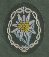 Aufnäher - Edelweiß - Gebirgsjäger - Ärmelabzeichen - grün