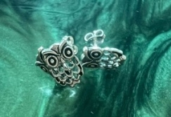 Ohrstecker - Eule - Silber - 1 Paar